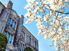 Giới thiệu về khóa học tiếng Hàn cao cấp (Level 7 & 8) tại Đại học Yonsei
