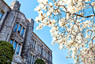 Giới thiệu về khóa học tiếng Hàn cao cấp (Level 7 & 8) tại Đại học Yonsei